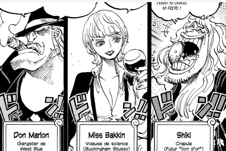 Lien RAW Lire le Mangas One Piece Chapitre 1157 Scan VF, Un grand secret va être révélé !